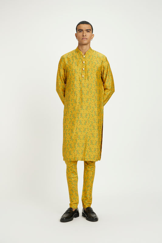 Amber Classic Kurta Set