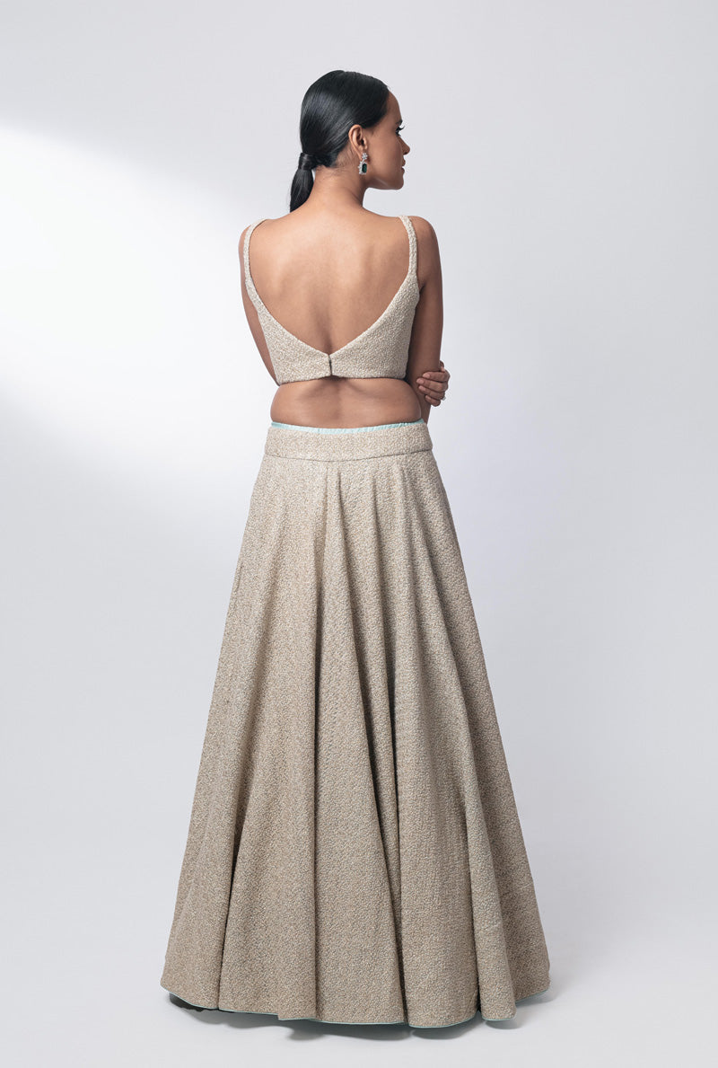 Designer lehenga dress