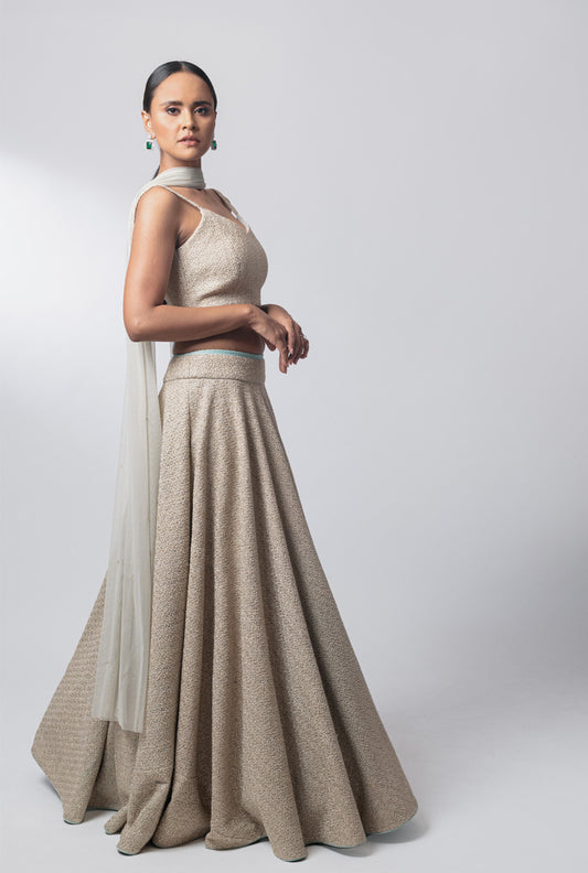 Sage Green Lehenga Set