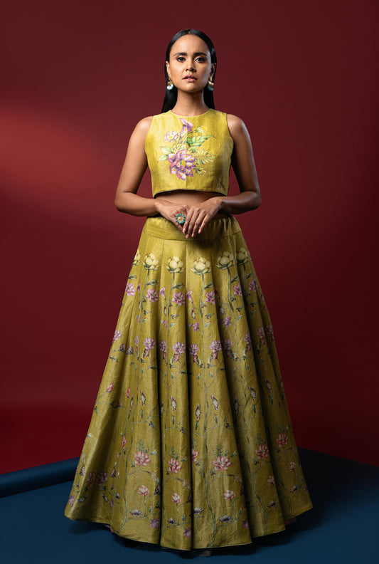 Aita Lime Green Lehenga