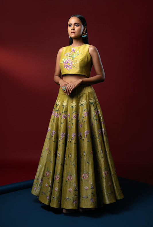 Aita Lime Green Lehenga