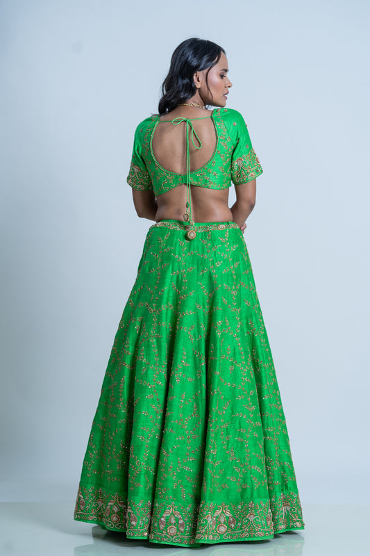 RAW SILK HAND EMBRIDERED LEHENGA WITH EMBROIDERED DUPATTA
